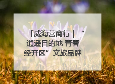 威海营商行｜“逍遥目的地 青春经开区”文旅品牌推介走进韩国