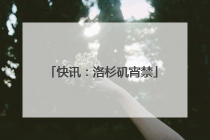快讯：洛杉矶宵禁