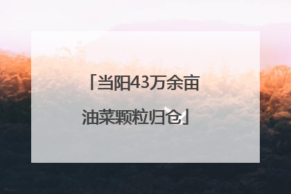当阳43万余亩油菜颗粒归仓