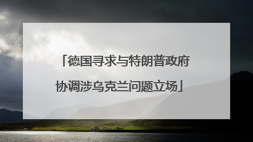 德国寻求与特朗普政府协调涉乌克兰问题立场