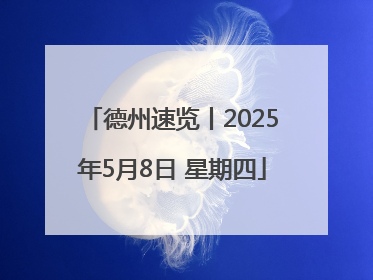 德州速览丨2025年5月8日 星期四