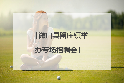 微山县留庄镇举办专场招聘会
