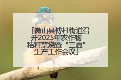微山县傅村街道召开2025年农作物秸秆禁烧暨“三夏”生产工作会议