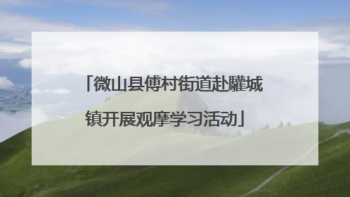 微山县傅村街道赴驩城镇开展观摩学习活动