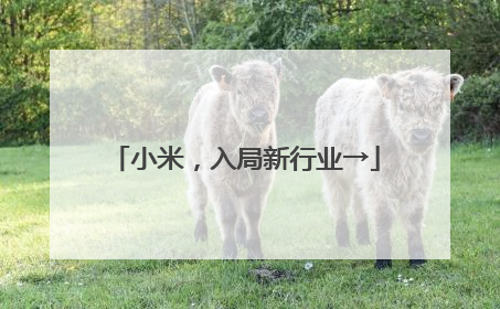 小米，入局新行业→
