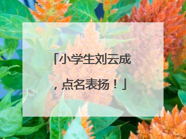 小学生刘云成，点名表扬！