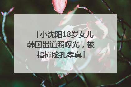 小沈阳18岁女儿韩国出道照曝光，被指撞脸孔孝真