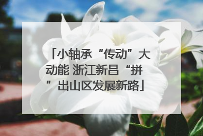 小轴承“传动”大动能 浙江新昌“拼”出山区发展新路
