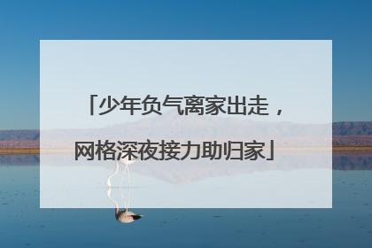 少年负气离家出走，网格深夜接力助归家