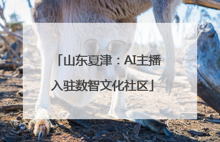 山东夏津：AI主播入驻数智文化社区
