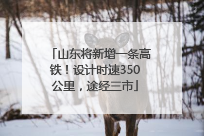 山东将新增一条高铁！设计时速350公里，途经三市