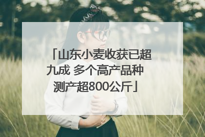 山东小麦收获已超九成 多个高产品种测产超800公斤