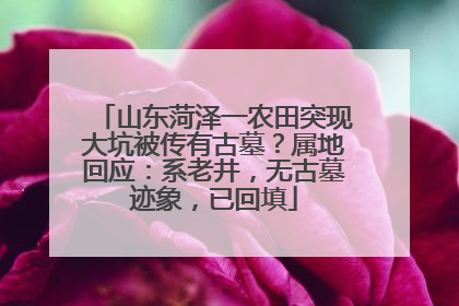 山东菏泽一农田突现大坑被传有古墓？属地回应：系老井，无古墓迹象，已回填