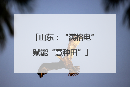 山东：“满格电”赋能“慧种田”