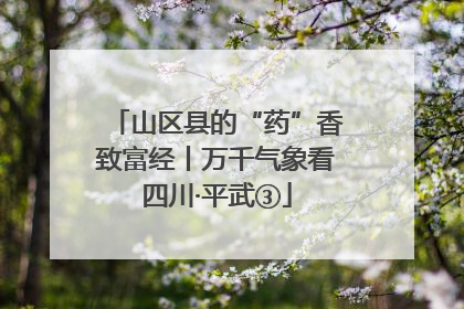 山区县的“药”香致富经丨万千气象看四川·平武③