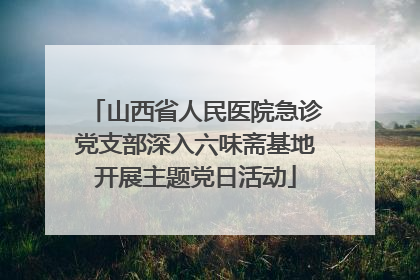 山西省人民医院急诊党支部深入六味斋基地开展主题党日活动