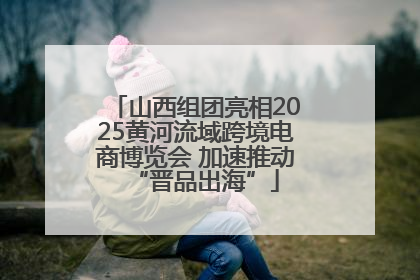山西组团亮相2025黄河流域跨境电商博览会 加速推动“晋品出海”