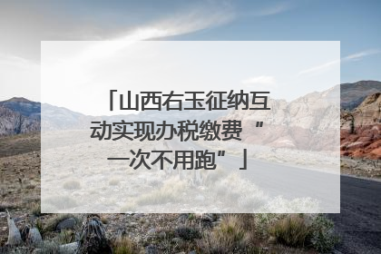 山西右玉征纳互动实现办税缴费“一次不用跑”