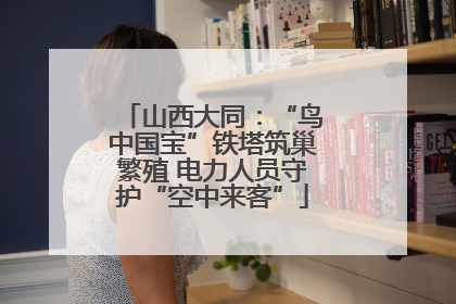 山西大同：“鸟中国宝”铁塔筑巢繁殖 电力人员守护“空中来客”