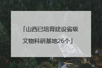 山西已培育建设省级文物科研基地26个
