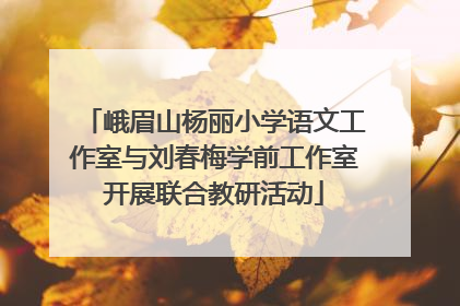 峨眉山杨丽小学语文工作室与刘春梅学前工作室开展联合教研活动