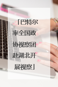 巴特尔率全国政协视察团赴湖北开展视察