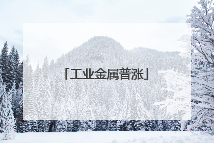 工业金属普涨