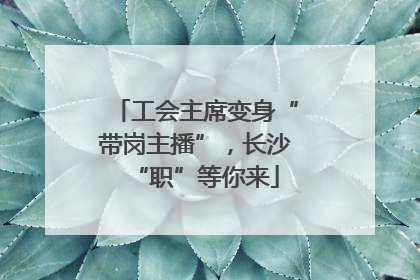工会主席变身“带岗主播”，长沙“职”等你来