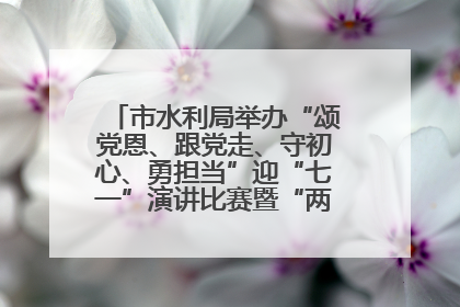 市水利局举办“颂党恩、跟党走、守初心、勇担当”迎“七一”演讲比赛暨“两优一先”表彰活动