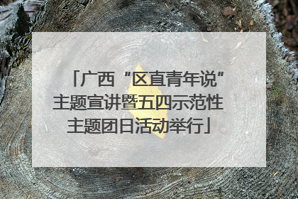 广西“区直青年说”主题宣讲暨五四示范性主题团日活动举行