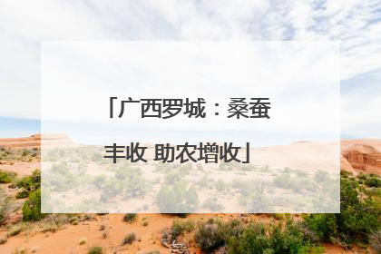 广西罗城：桑蚕丰收 助农增收