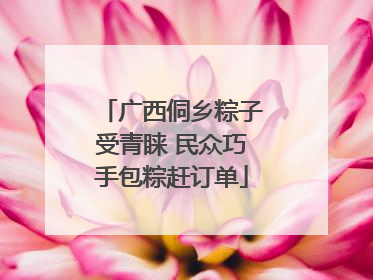 广西侗乡粽子受青睐 民众巧手包粽赶订单