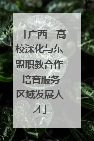 广西一高校深化与东盟职教合作 培育服务区域发展人才