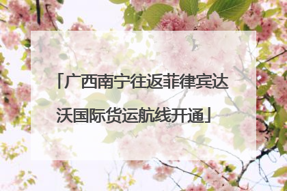 广西南宁往返菲律宾达沃国际货运航线开通