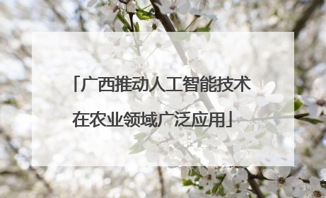 广西推动人工智能技术在农业领域广泛应用