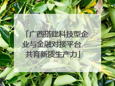 广西搭建科技型企业与金融对接平台 共育新质生产力