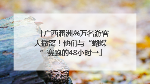 广西涠洲岛万名游客大撤离！他们与“蝴蝶”赛跑的48小时→