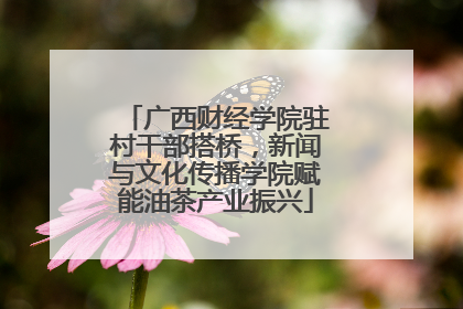 广西财经学院驻村干部搭桥，新闻与文化传播学院赋能油茶产业振兴