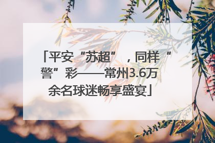 平安“苏超”，同样“警”彩——常州3.6万余名球迷畅享盛宴
