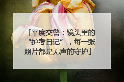 平度交警：镜头里的“护考日记”，每一张照片都是无声的守护