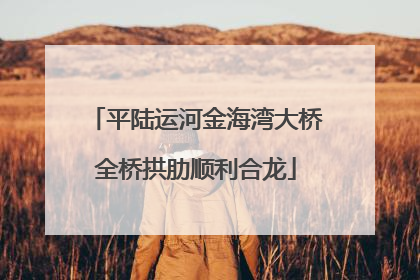 平陆运河金海湾大桥全桥拱肋顺利合龙
