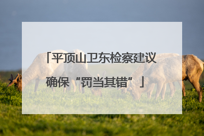 平顶山卫东检察建议确保“罚当其错”