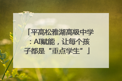 平高松雅湖高级中学：AI赋能，让每个孩子都是“重点学生”