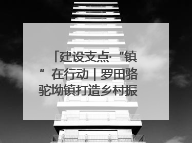 建设支点·“镇”在行动｜罗田骆驼坳镇打造乡村振兴新样板