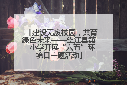 建设无废校园，共育绿色未来——望江县第一小学开展“六五”环境日主题活动