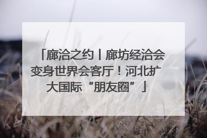 廊洽之约丨廊坊经洽会变身世界会客厅！河北扩大国际“朋友圈”