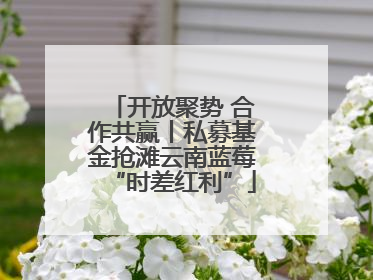 开放聚势 合作共赢丨私募基金抢滩云南蓝莓“时差红利”