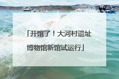 开馆了！大河村遗址博物馆新馆试运行