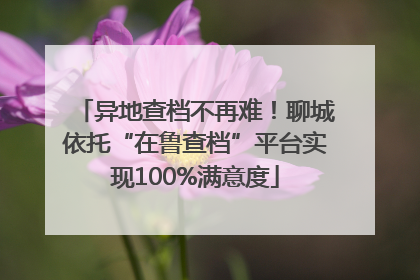 异地查档不再难！聊城依托“在鲁查档”平台实现100%满意度