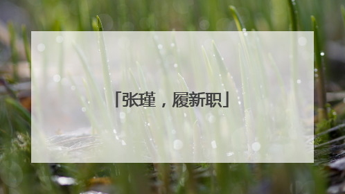张瑾，履新职